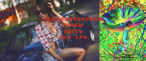 молекула духа Алзамай