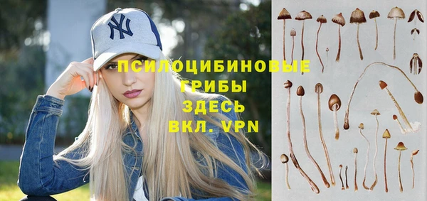 молекула духа Алзамай