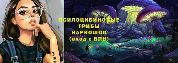 индика Алексеевка