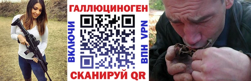 сколько стоит Белореченск Псилоцибиновые грибы Magic Shrooms