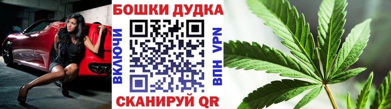 Конопля SATIVA & INDICA  закладка  Белореченск 